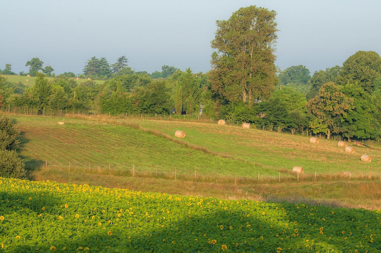 Les Maisons Du Golf D'Armagnac Eauze Exterior foto
